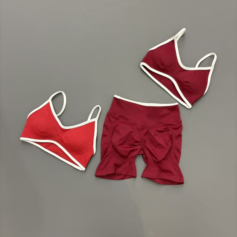 2 Pcs Gym Set Women High Elast - Ignite Yoga Fitness review and price