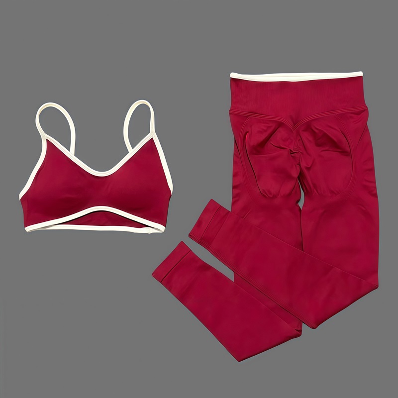 2Pcs HISTELLO Women's Seamless - Ignite Yoga Fitness review and price
